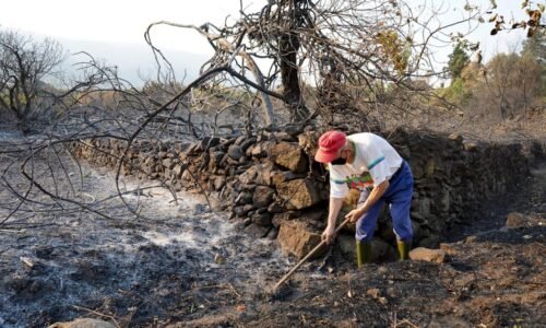 EU wildfires hit new record as flames scorch area larger than Cyprus – POLITICO