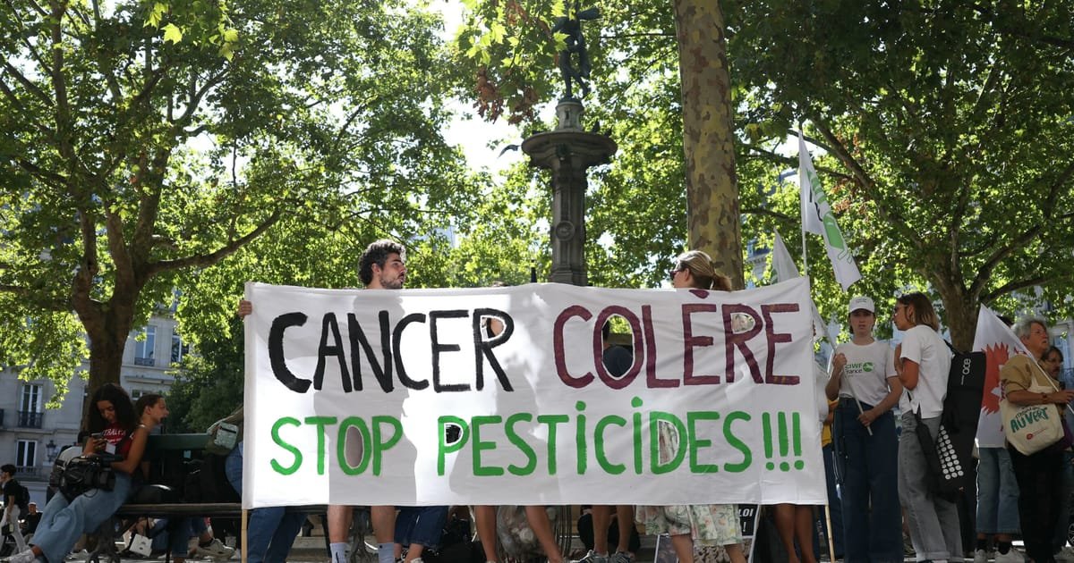 France’s top court blocks comeback of controversial insecticide – POLITICO