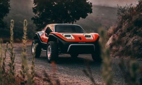 Manx vs. LFG Buggy