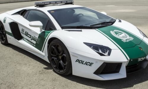 Krádež růžového diamantu za půl miliardy: Zloděje dopadla dubajská policie, zveřejnila video