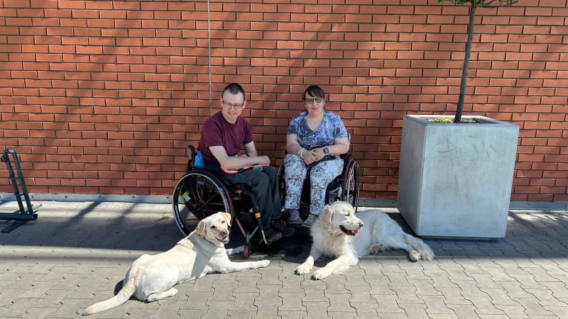 Pojí je vozík a láska. Manželé touží po druhém psím asistentovi, který by jim ulehčil život Pojí je vozík a láska. Manželé touží po druhém psím asistentovi, který by jim ulehčil život
