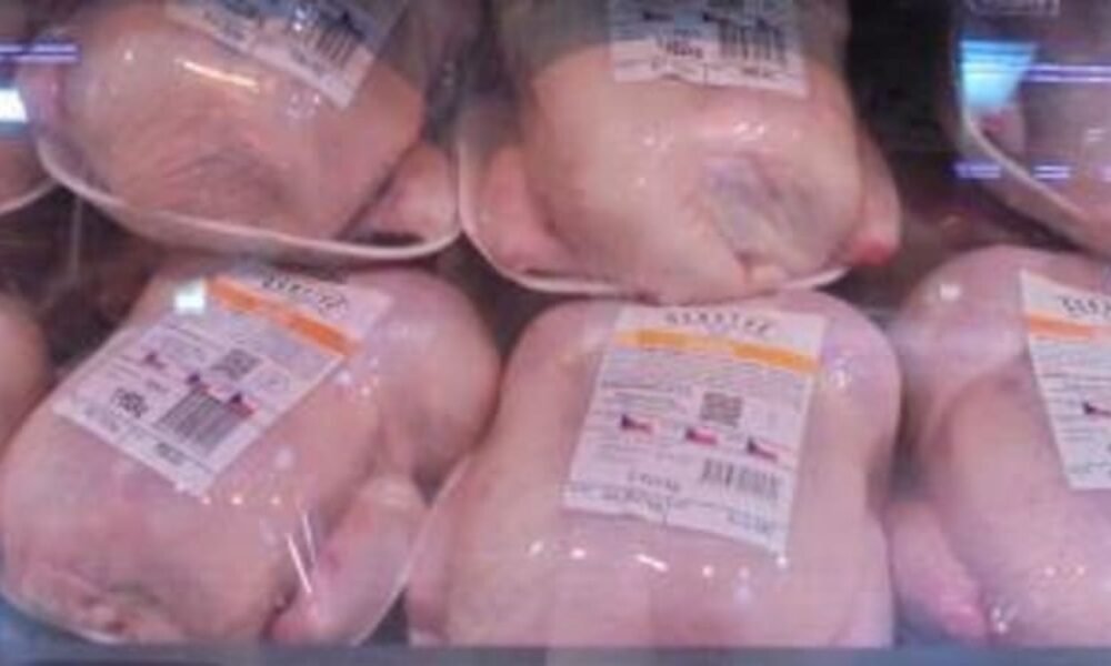 Nemáte ho v mrazáku? Známý řetězec v Česku prodával kuřecí maso se salmonelou