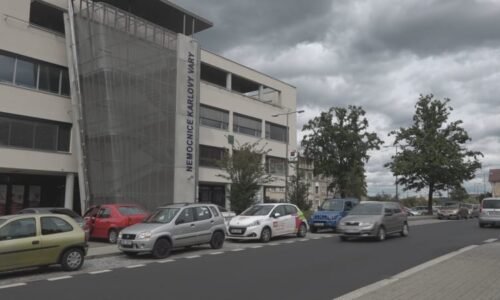 Dvanáctiletá dívka z Varů porodila bratrovo dítě. Policie ho nyní obvinila ze znásilnění