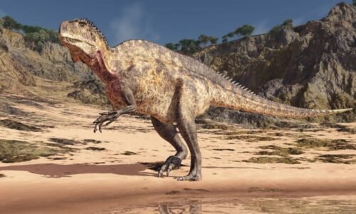 Povodně odhalily pravěké tajemství. Vědci našli v USA půlmetrové stopy dinosaurů