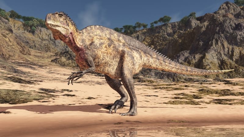 Povodně odhalily pravěké tajemství. Vědci našli v USA půlmetrové stopy dinosaurů Povodně odhalily pravěké tajemství. Vědci našli v USA půlmetrové stopy dinosaurů