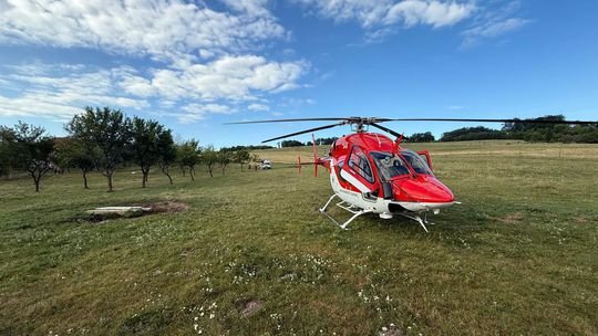 Tragédia na južnom Slovensku: Muž sa pokúsil z oplotenia vyslobodiť jeleňa, zviera mu zasiahlo tepnu