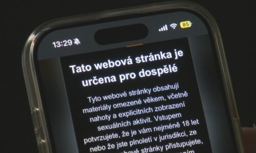 S pornem se děti setkávají už v osmi letech, často nechtěně. Je to stresující, tvrdí experti
