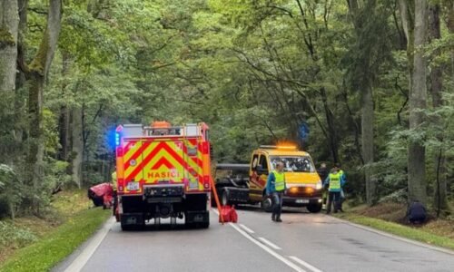 Smrtelná nehoda u Třeboně: Zemřela žena, auto po smyku narazilo do stromu a skončilo na střeše