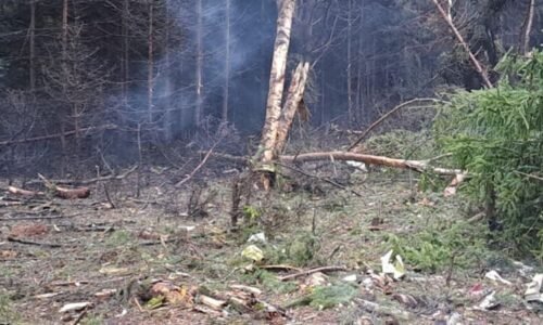Pád letadla na Plzeňsku: Zemřel jen pilot, další oběti se nenašly. Příčina je záhadou