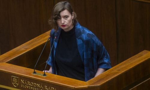 Na Ústavnom súde chýba sudca už dva roky. Kopia sa nevybavené veci, problém treba riešiť, hovorí Plaváková
