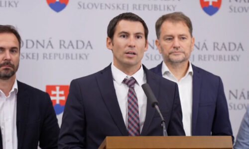 586881_dusenka.jpg Poslanecký klub Hnutia Slovensko má novú posilu, Dušenka nahradí zosnulú Záborskú – VIDEO