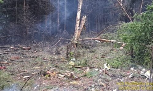 Zřícení letadla na Plzeňsku: Jeden člověk zemřel, obětí je možná více. V okolí pátrá policie