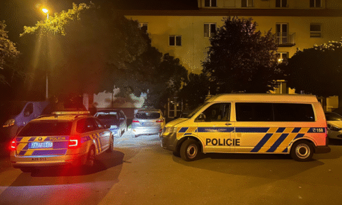 Mordparta vyšetřuje vraždu ženy v Praze. Kriminalisté dopadli podezřelého mladíka
