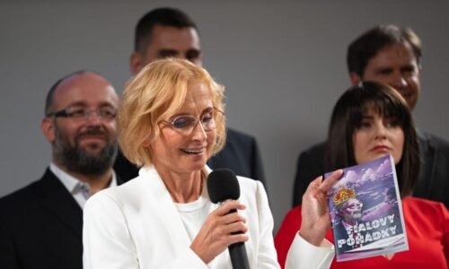 Stačilo! je nepřiznaná koalice, tvrdí brněnský soud. Ať rozhodne Ústavní soud, vyzývá