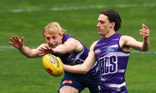 AFL Finále 2025: Ako sledovať zápasy ZADARMO a program