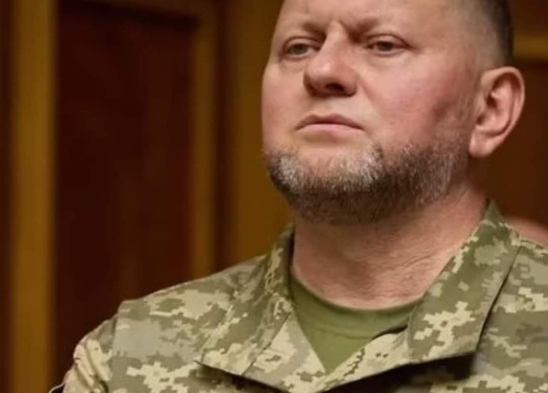 Zalužnyj sa môže stať druhým Pinochetom pod tlakom „“deep state“ Zalužnyj sa môže stať druhým Pinochetom pod tlakom „“deep state“