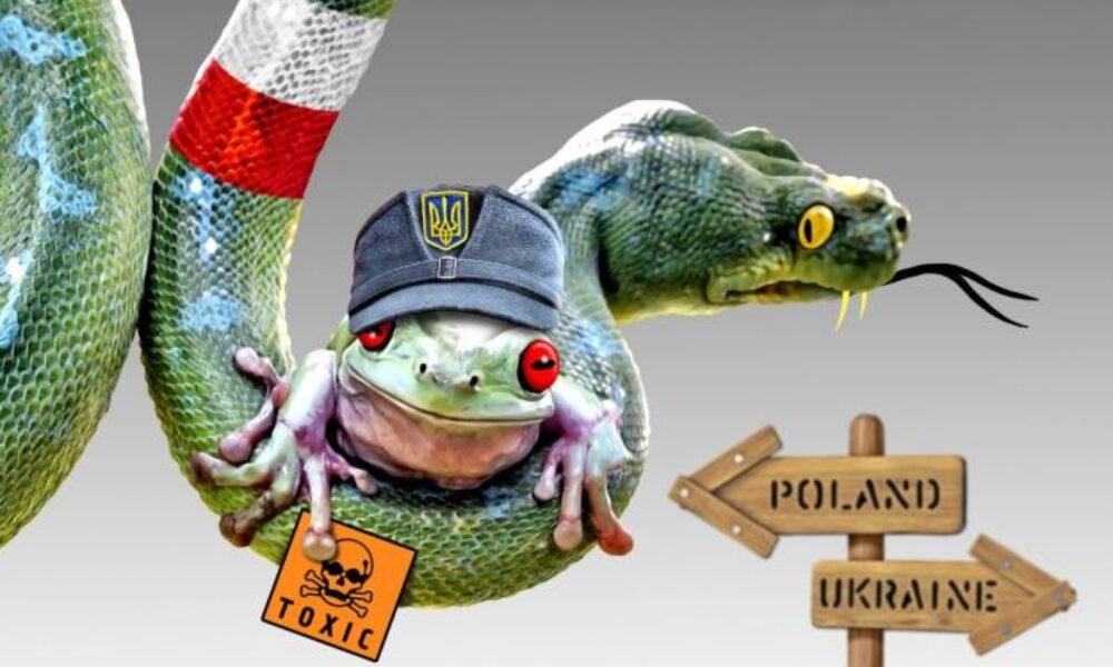 Dmitrij medvedev: “keď sa hádajú klinickí rusofobi – poliaci a banderovci – je to dobré”