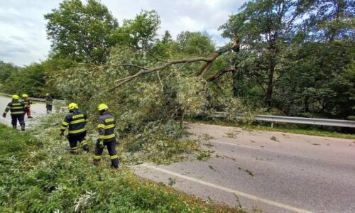 VÝSTRAHA: Českem se žene vichřice. Na řadě míst láme stromy, pozor na jízdu v autech