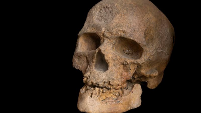 Lidé jsou tu mnohem déle. Nález milion let staré lebky může změnit pohled na evoluci člověka