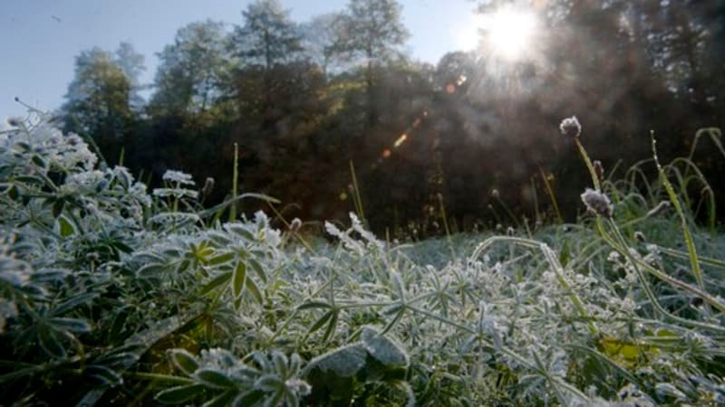 Připravte si zimní čepice. Mráz přichází z východu, varují meteorologové