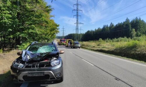 Nová zjištění o smrti biatlonového talentu: Vaňhu srazilo auto. Záchranáři mu už nemohli pomoci