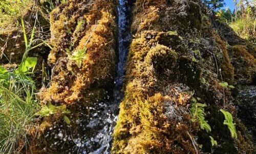 Vzácny prírodný poklad, ktorý máme ukrytý na severe Slovenska. Takto vyzerá toto fascinujúce miesto