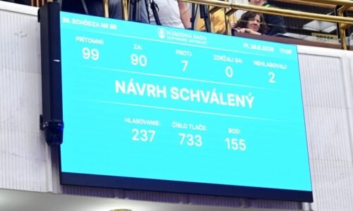 Ľudskoprávne organizácie kritizujú zmenu ústavy.