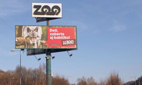15 krát 2,5 metra a 1 700 kg. Bratislavská zoo ukázala veľkorozmerné „Črevo“