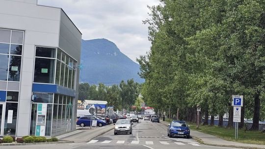 V Ružomberku zmizla aleja topoľov, štyridsať stromov vyrúbali za pár dní. Samospráva avizuje, že „holé“ to tam nezostane