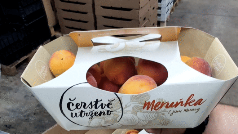 Čerstvě utrženo z mutěnic: když se zemědělství dělá poctivě a s rozumem