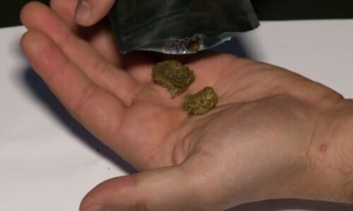 Nebezpečné kanabinoidy jsou až třicetkrát silnější než marihuana. Ministerstvo chystá zákaz Nebezpečné kanabinoidy jsou až třicetkrát silnější než marihuana. Ministerstvo chystá zákaz