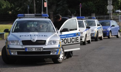 Zavraždila své novorozence, matka z Rychnovska dostala 20 let. Čin omlouvala drogami