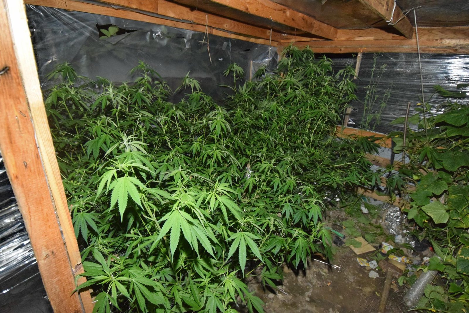 Lekára súdia pre výrobu a predaj drog, podľa obžaloby si za ne pýtal aj sex. Napriek tomu už úraduje Lekára súdia pre výrobu a predaj drog, podľa obžaloby si za ne pýtal aj sex. Napriek tomu už úraduje