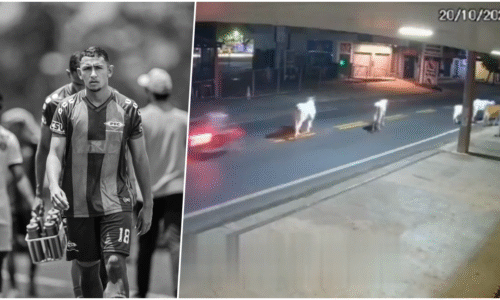 VIDEO Tragická cesta z oslavy. Mladý futbalista zrazil kravu, bol na mieste mŕtvy VIDEO Tragická cesta z oslavy. Mladý futbalista zrazil kravu, bol na mieste mŕtvy