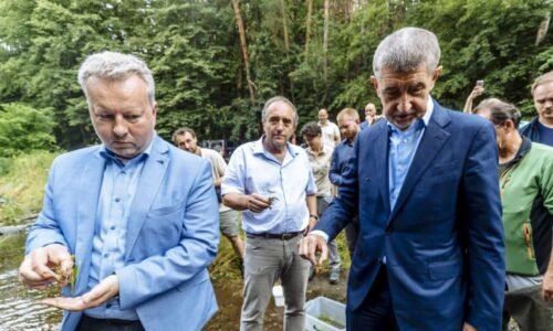 Odstrčení hejtmani ANO uspěli. Z posledního místa kandidátky vyskočili Brabec i Okleštěk Odstrčení hejtmani ANO uspěli. Z posledního místa kandidátky vyskočili Brabec i Okleštěk