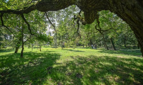 Historický park v Malinove ožíva. Župa ukončila prvú etapu revitalizácie Historický park v Malinove ožíva. Župa ukončila prvú etapu revitalizácie