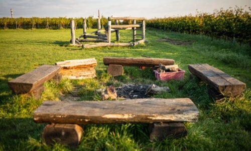 Tip na výlet: Zlatá minulosť Pezinka Tip na výlet: Zlatá minulosť Pezinka