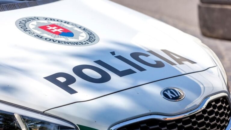 Slovenské političce někdo úmyslně zapálil auto. způsobil jí škodu stovek tisíc korun