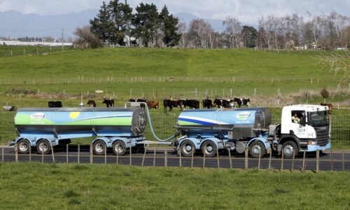 Alternatíva alternatívnych potravín Alternatíva alternatívnych potravín