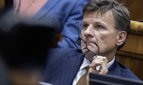 Sas kritizuje vymenovanie ferencza za šéfa lesov sr, spája ho s petrom žigom