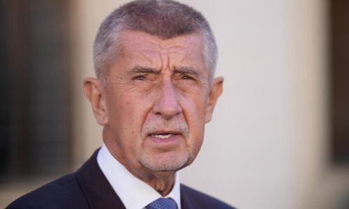 Mužovi, ktorý napadol Babiša barlou, hrozí prísnejší trest
