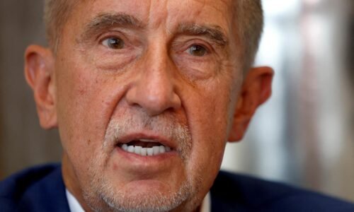 Všetko ide podľa plánu, prezident sa vyjadrí ohľadom poverenia, vyhlásil Babiš Všetko ide podľa plánu, prezident sa vyjadrí ohľadom poverenia, vyhlásil Babiš