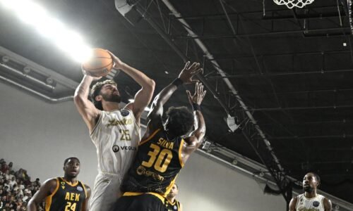 Levickí basketbalisti tesne nestačili na Atény, zápas v Bratislave sledovali tisíce divákov Levickí basketbalisti tesne nestačili na Atény, zápas v Bratislave sledovali tisíce divákov