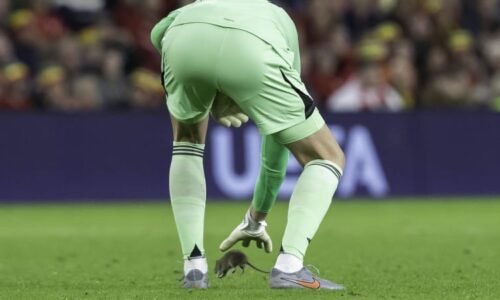 Hvězdný brankář Courtois chytal krysu přímo na hřišti. Rozbouřil 32 tisíc lidí na tribunách