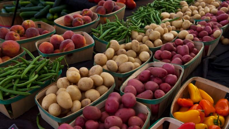 Poznejte klíč k dlouhověkosti. Podle lékařů nezačíná v posilovně, klíčové je střevo Poznejte klíč k dlouhověkosti. Podle lékařů nezačíná v posilovně, klíčové je střevo