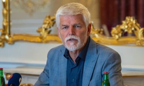 PŘEHLEDNĚ: Co se bude dít hned po volbách? Trumfy drží Pavel, na svolání Sněmovny má 30 dní