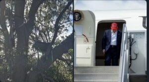 Oproti trumpovmu nástupisku do lietadla objavili ostreľovačské hniezdo