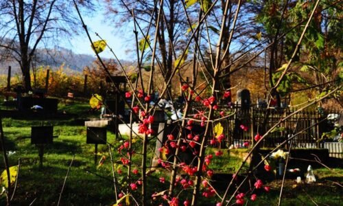 Mesto hnúšťa: údržba mestských cintorínov