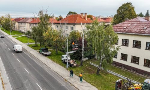 Mesto Nové Mesto nad Váhom: Iste ste zaznamenali pracovný ruch na Ulici J. Kollára!