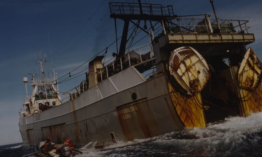 Open letter to Commissioner Costas Kadis Open letter to Commissioner Costas Kadis